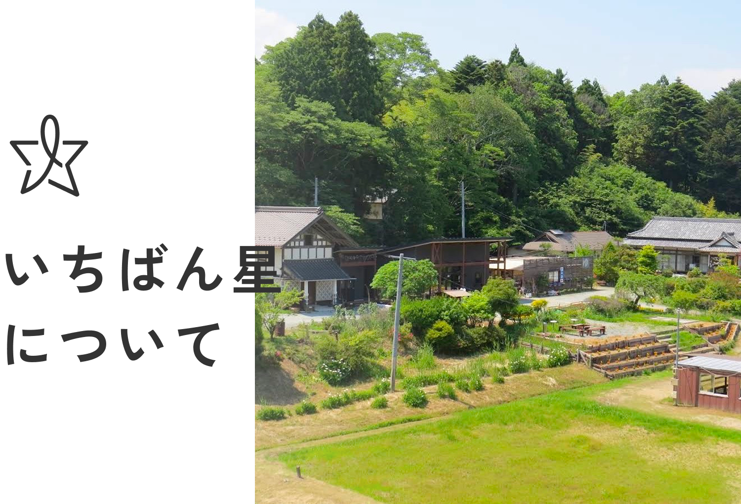 いちばん星について