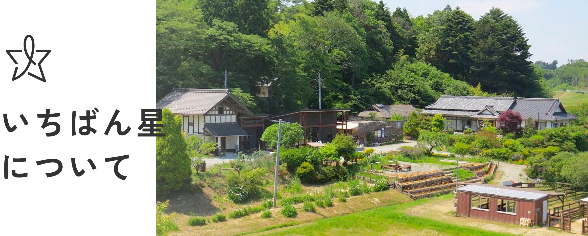 いちばん星について